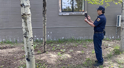 Defensible Space Software Brings Improvements to Lake Tahoe